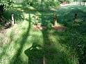 20100602 001